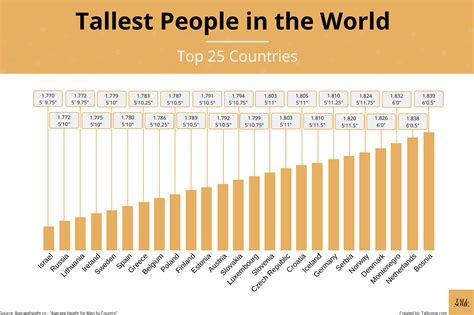 Average human height by country